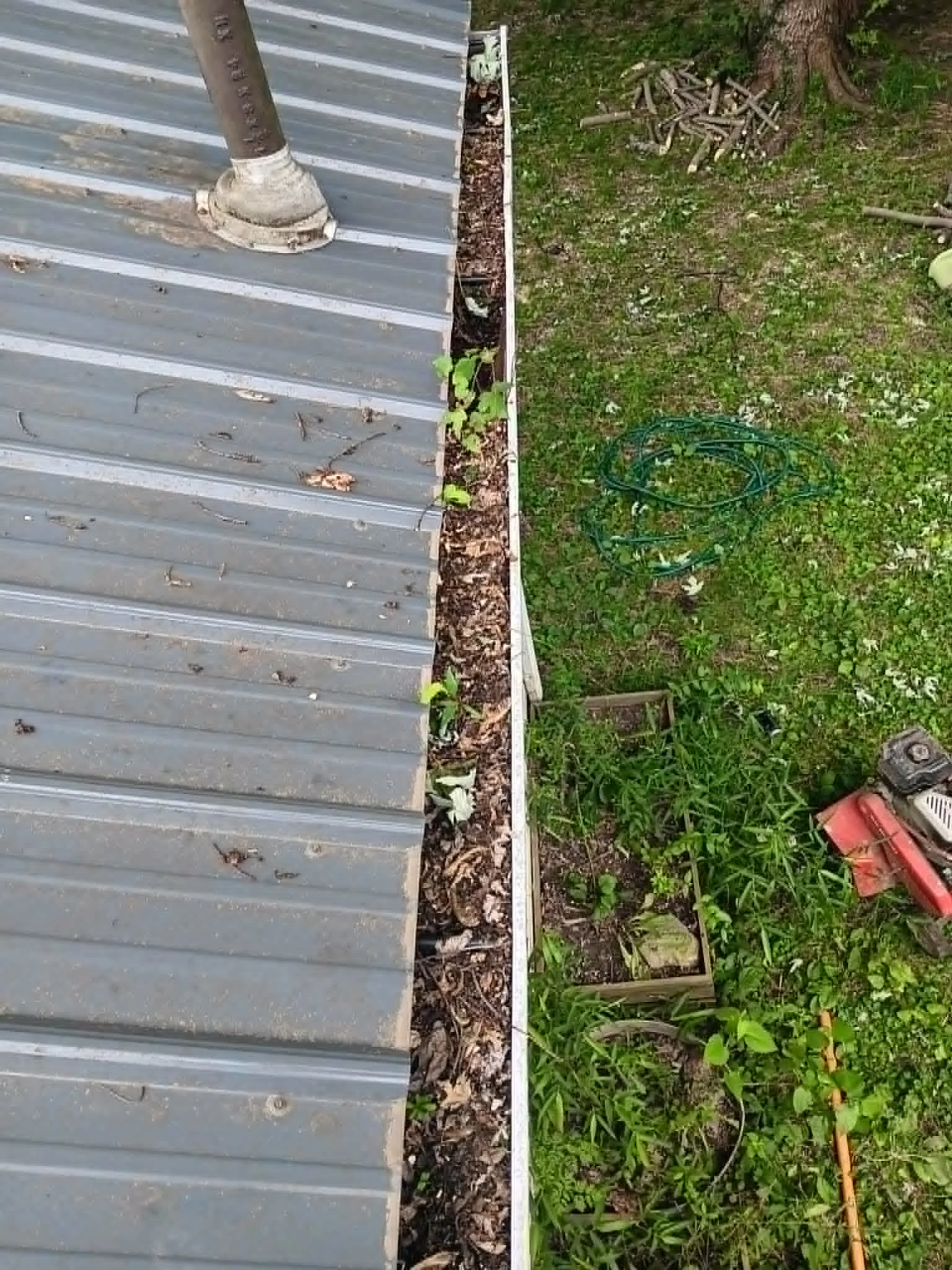 Roof gutter filled with accumulated leaves and debris before clearing