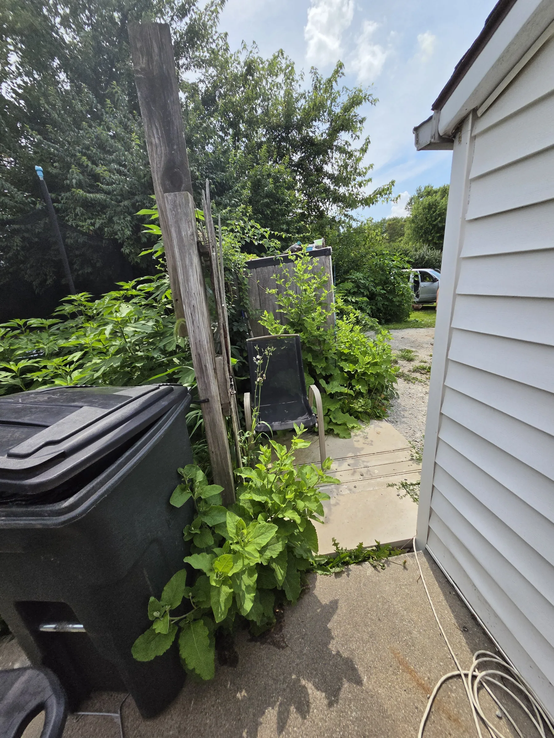 Overgrown vegetation crowding a narrow walkway and side-access area before cleanup